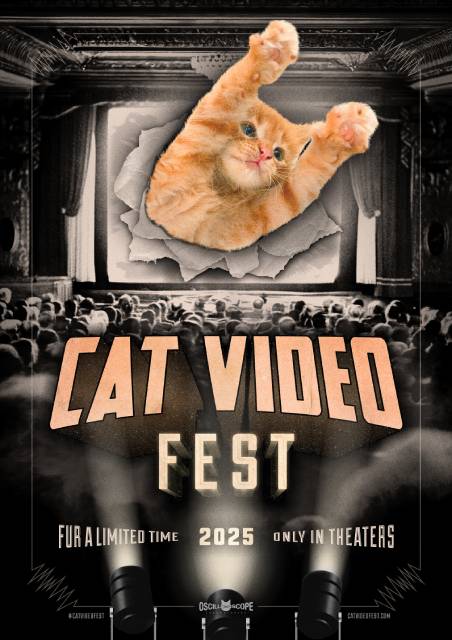Cat Video Fest 2025